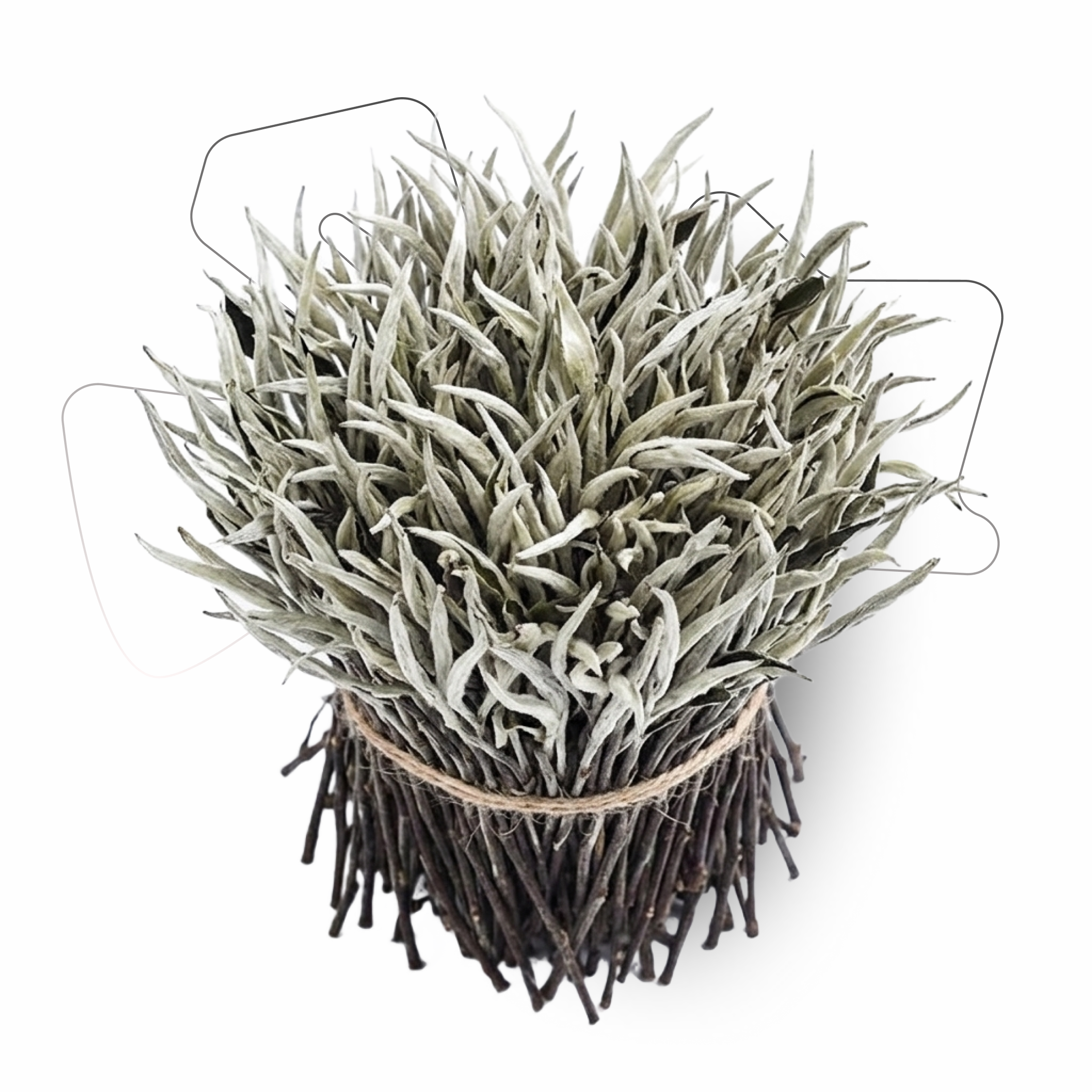 White tea [ALMASS`52]2026 50g