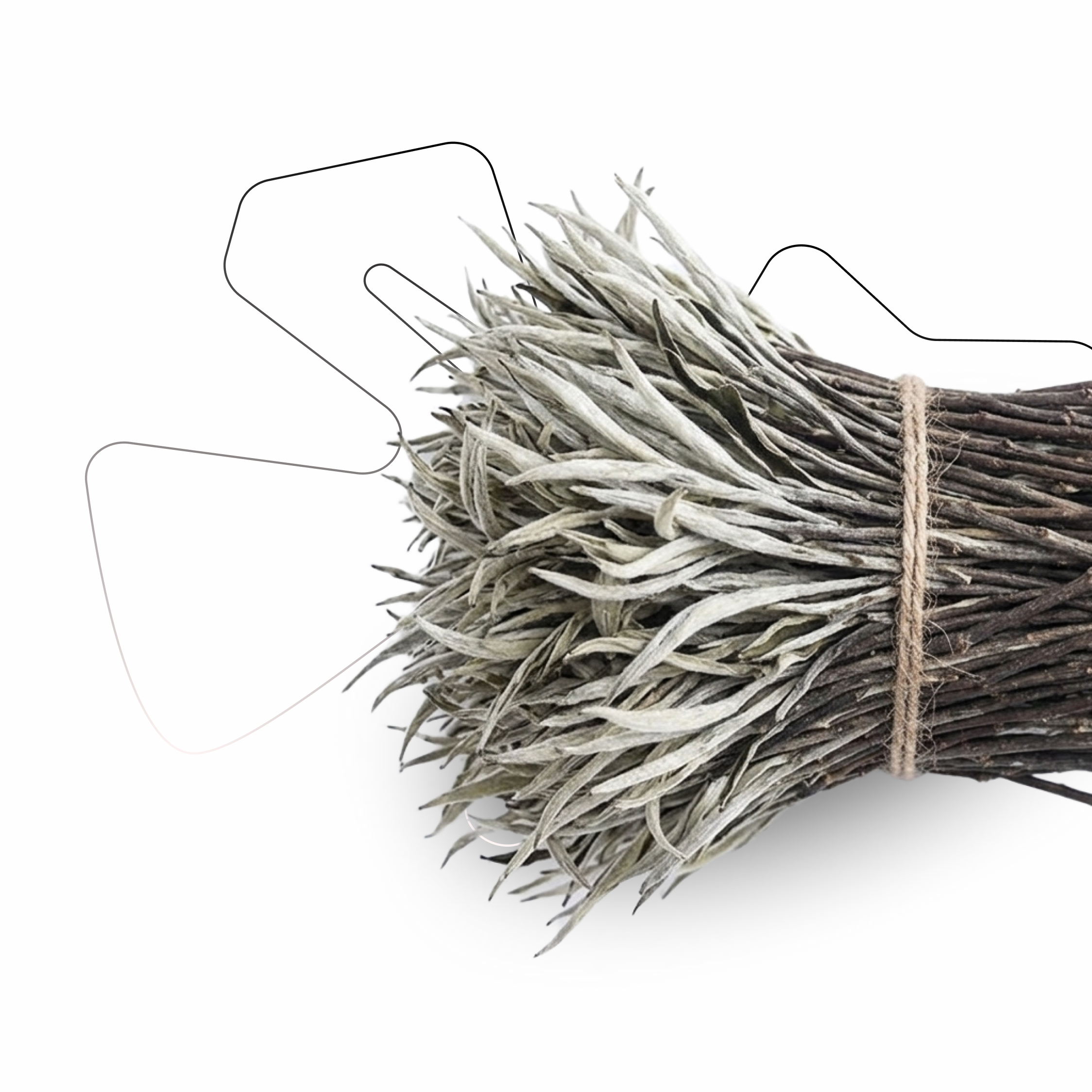 White tea [ALMASS`52]2026 50g